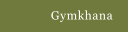 Gymkhana