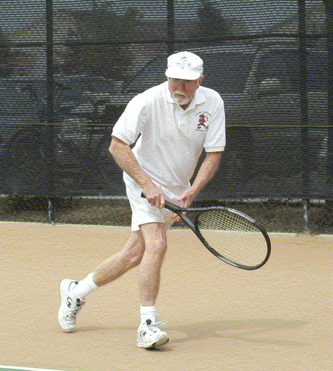 the court jester tennis the court jester tennis