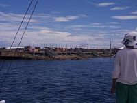 tn_8_boat6.JPG (200x150; 7875 bytes)