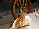 What're folks eating?