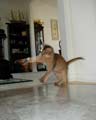 I'm fast