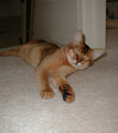 Do not disturb!