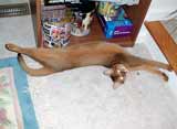 It was good nap...