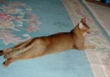 Another favorite position