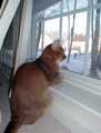 I like to watch.