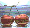 Fixed pallet Netscape (256 colors)