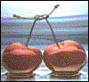Fixed Netscape pallet (256 colors)) + dithering  - 4.77KB