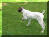 lilly.jpg (112777 bytes)