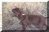 loupup.jpg (60484 bytes)