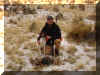 Successful day of pheasant hunting on the Willow Creek Ranch near Elko, NV.