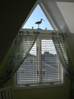 window in bedroom