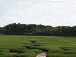 view of moors