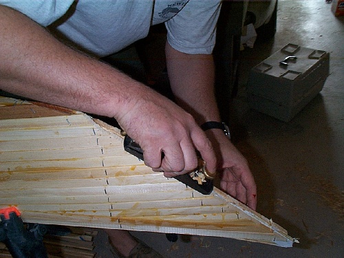 stripper_plane_stem.jpg