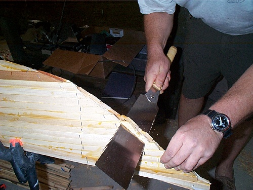 stripper_saw_stem_2.jpg