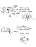 Coloring Sheet of insects