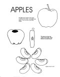 Apple Coloring Sheet