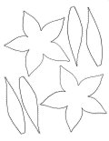 Flower parts Coloring Sheet