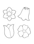 Flowers Coloring Sheet