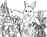 Rabbit in the flowers Coloring Sheet