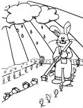 Rabbit in the garden Coloring Sheet