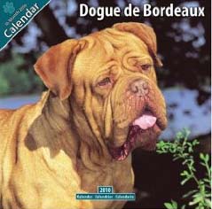 2010 Dogue de Bordeaux Calendar - Amazon