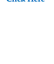 footlevelers.gif (12591 bytes)