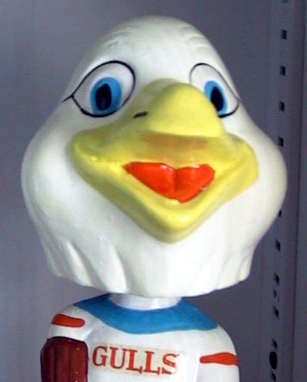 gull orange face