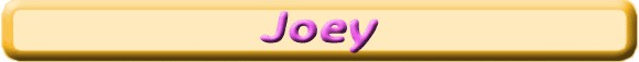 joey banner