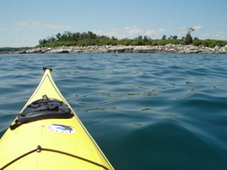 Scouting the island...