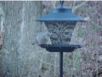 birds_20060415_19