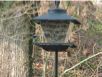 birds_20060415_31