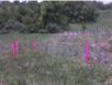house_20070521_05