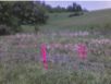 house_20070521_04