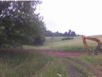 house_20070608_02