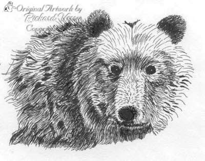 Bear
