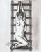 Hung from Ladder