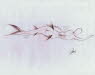 Corsetted Mermaid Sketch