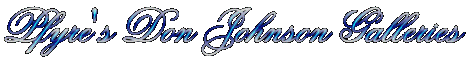 Pfyre's Don Johnson Galleries
