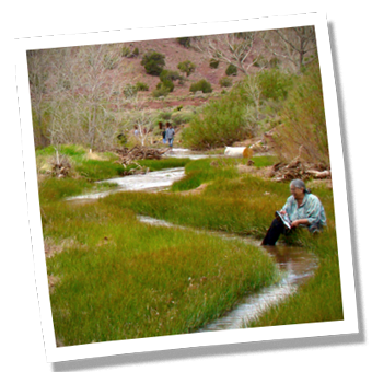 Creek restoration at Hubbell