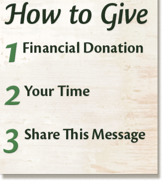 how to donate