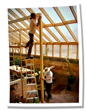 greenhouse construction