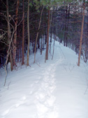 arcing ridgeline