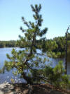 Birch Lake (Babbitt, MN) - 9/2/07