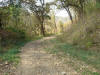 Southeast MN ATV Trail (Winona, MN) - 10/6/07