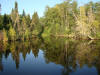 North arm of Flour Lake (Grand Marais, MN) - 7/27/08