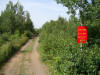 Sled dog entrance along Camp 15 Loop Road (Grand Marais, MN) - 7/28/08