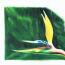 tn-0008