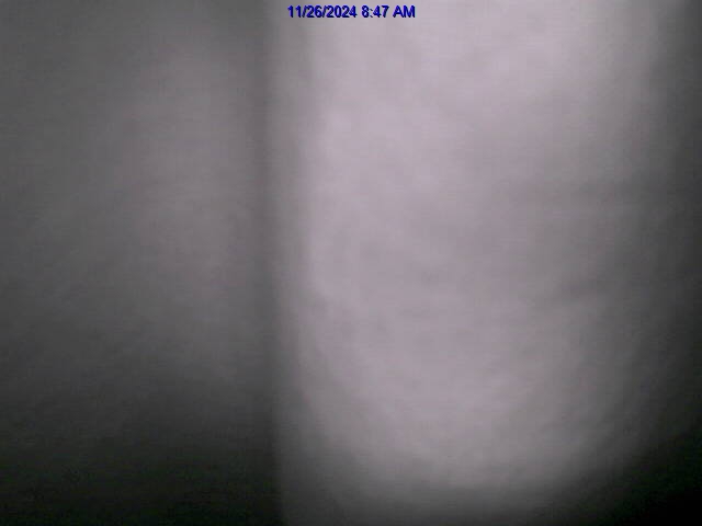 History 5