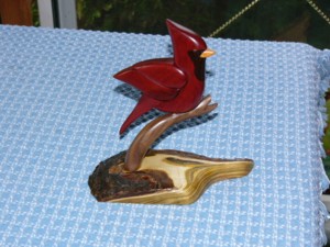 Cardinal Intarsia