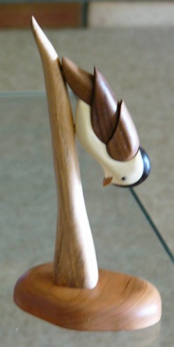 Nuthatch Intarsia